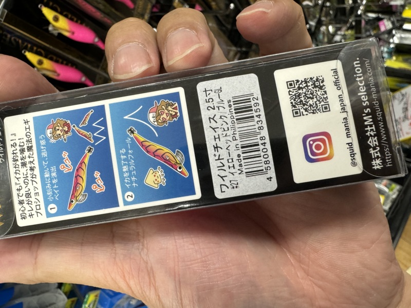 鳥取イカメタル釣行