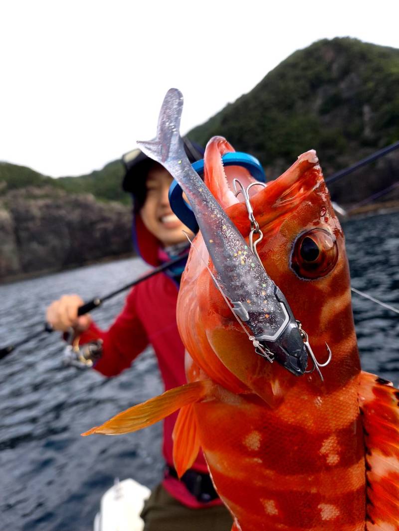 ロックフィッシュ絶好調