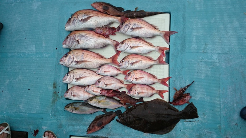 鳴門で鯛ラバ|マダイ ヒラメ アコウ シオ ガシラ コチ