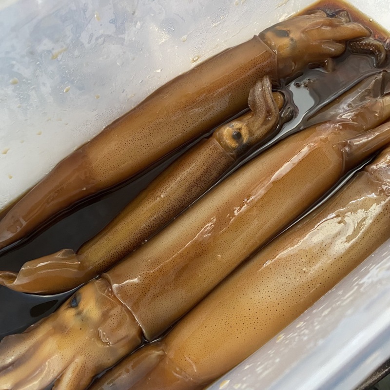 6月15日 初めてのイカ釣り!