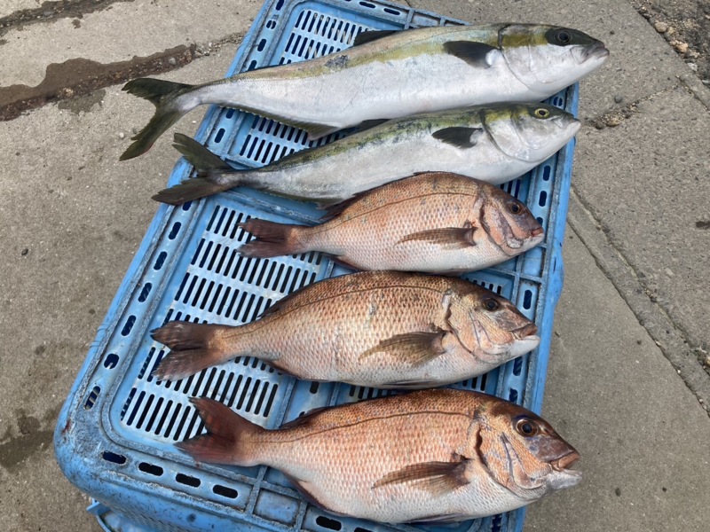 手軽に海上釣堀