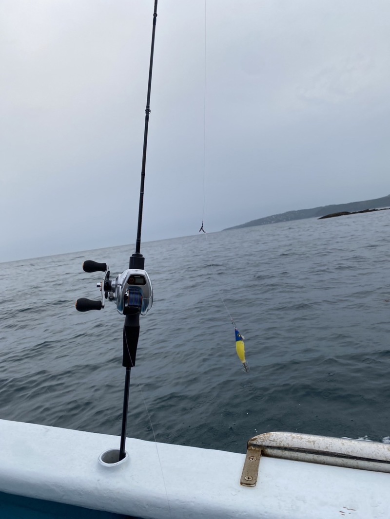 和歌山 イカメタル釣行