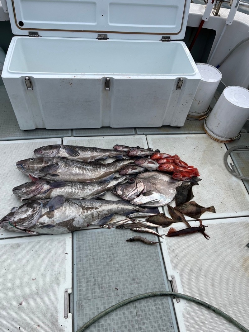 中深海ジギング