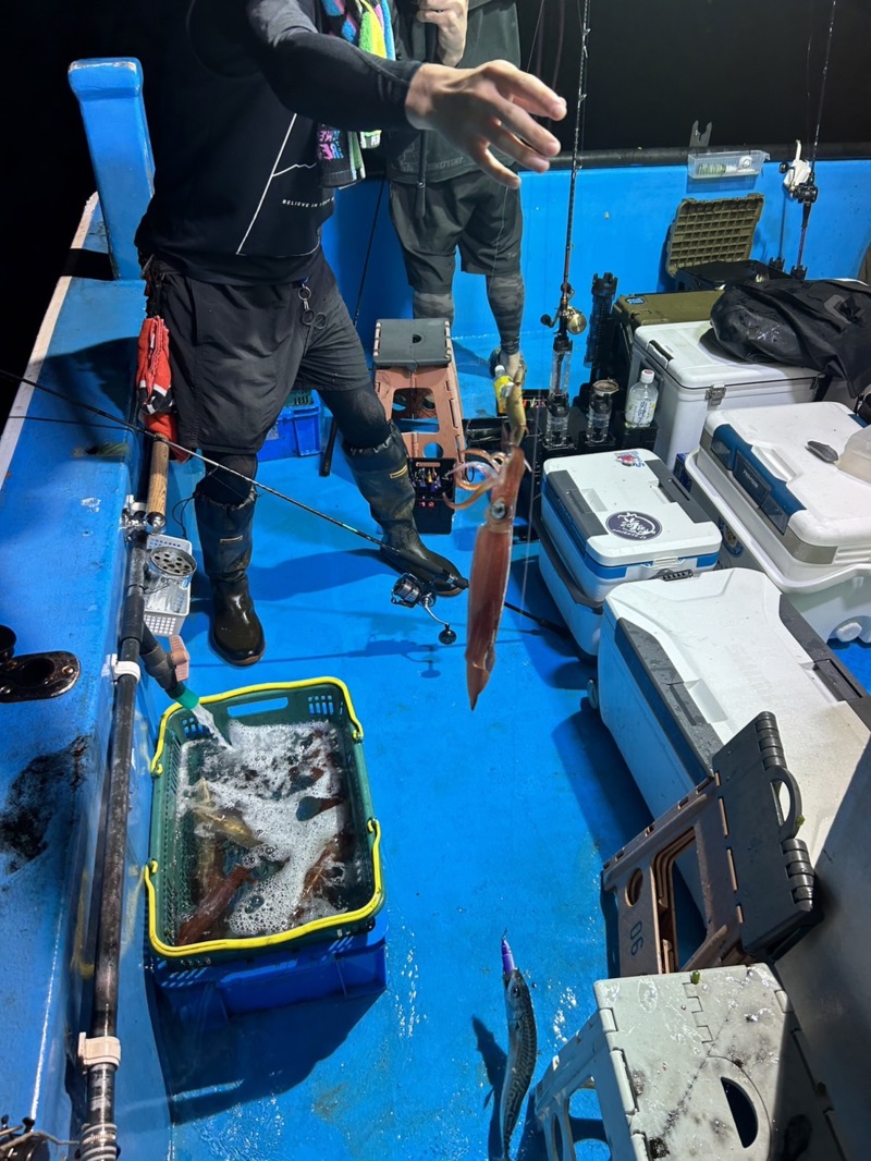 鳥取県イカメタル釣行