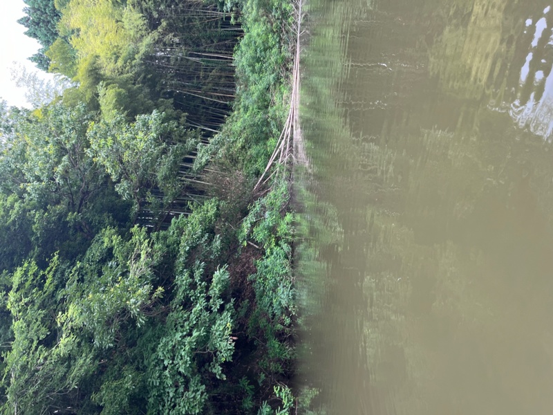 トップ1本勝負 布目ダム