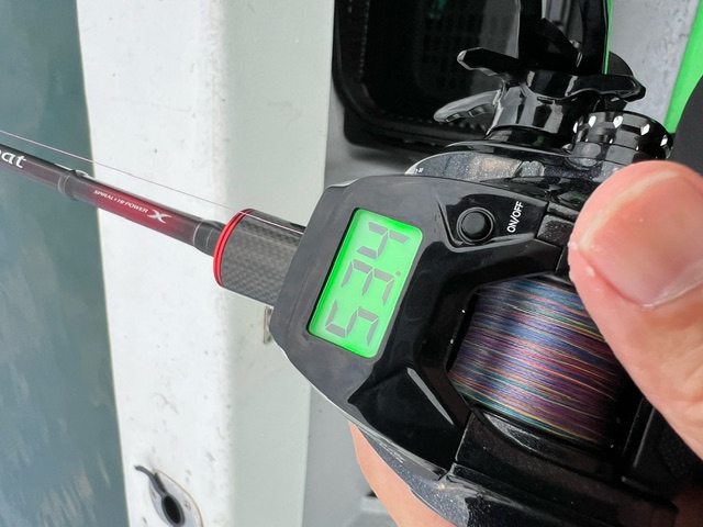 京丹後市浅茂川漁港からの船釣りでマイカ釣果