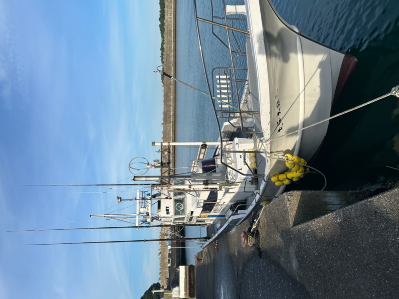 和歌山県 大洋丸でオフショアキャスティング!キハダマグロ釣果