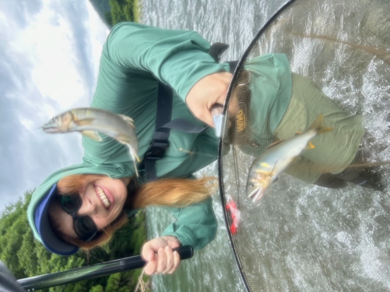 安曇川朽木の友釣りで鮎釣果