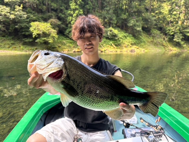 和歌山県合川ダムのブラックバス釣果