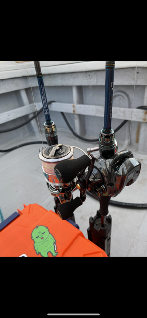 今が旬のイカメタル!