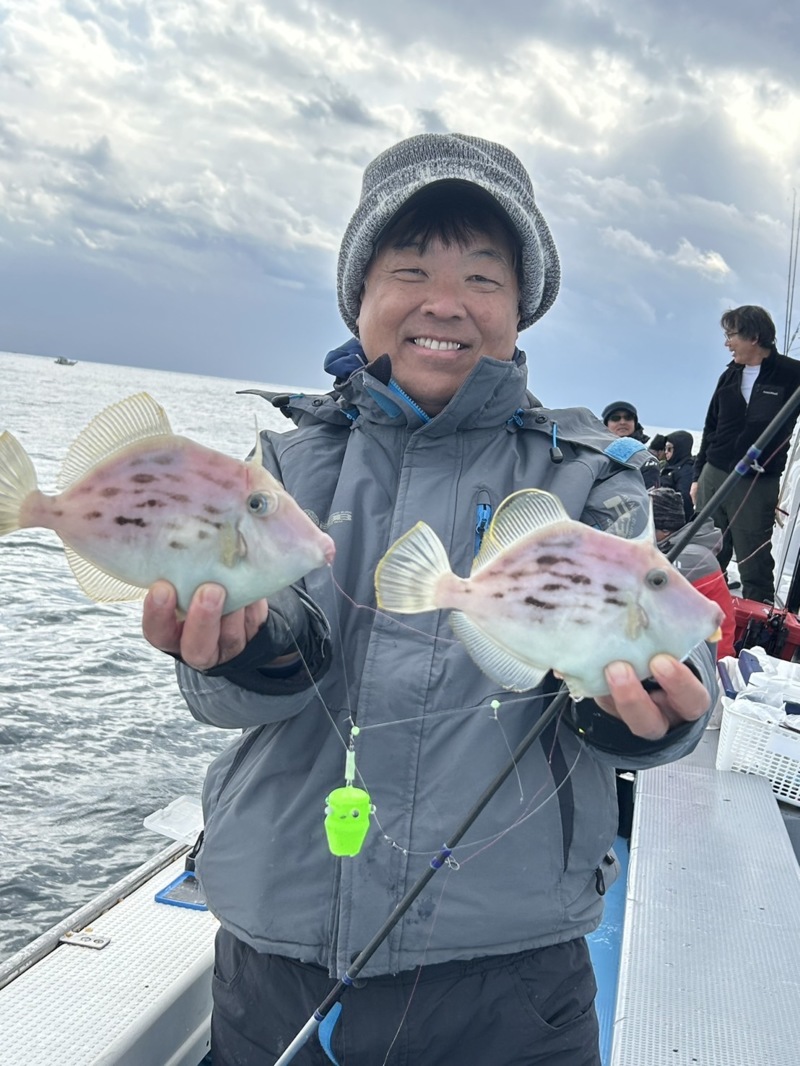 徳島阿南カワハギ好調
