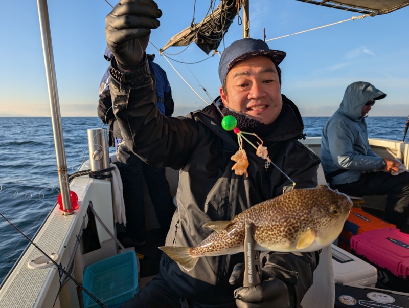 ☆明石沖でカットウフグ☆
