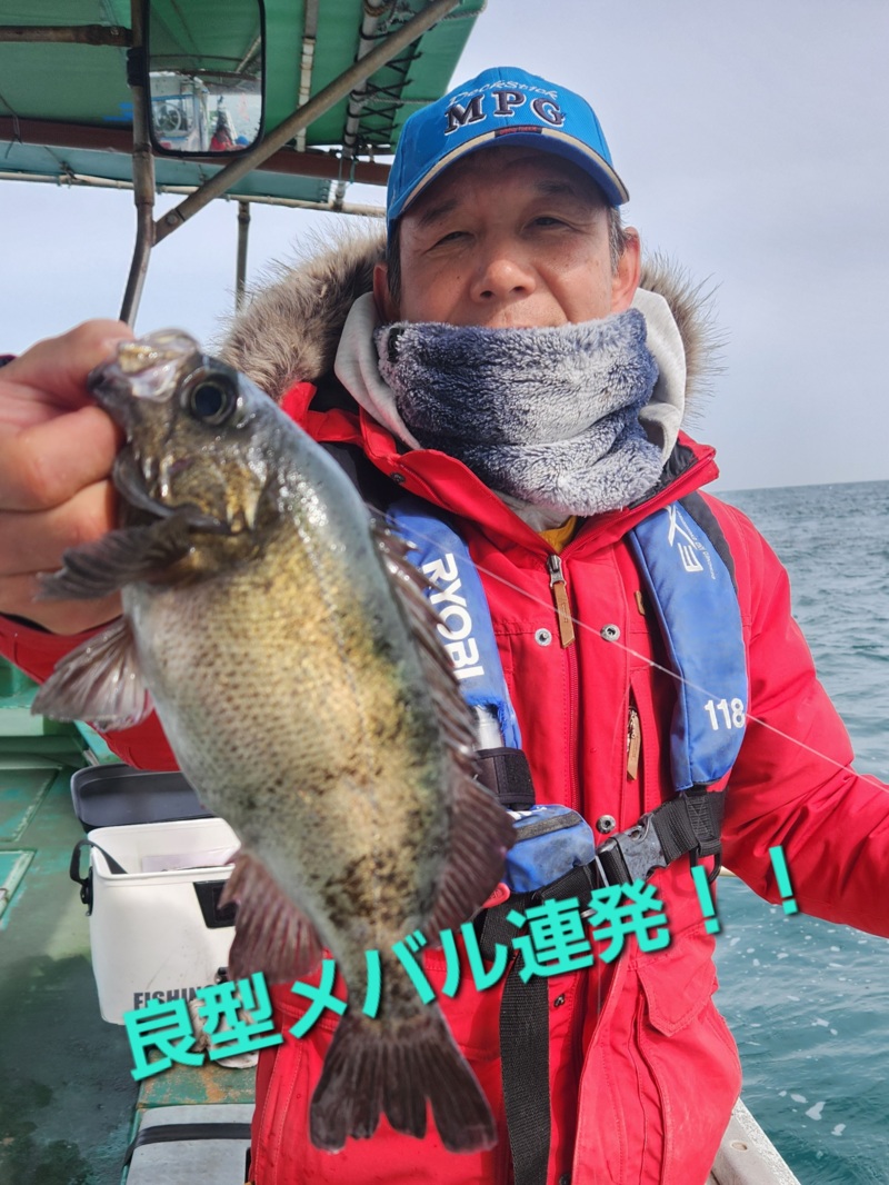 大阪湾泉南『船メバル』第二小島丸