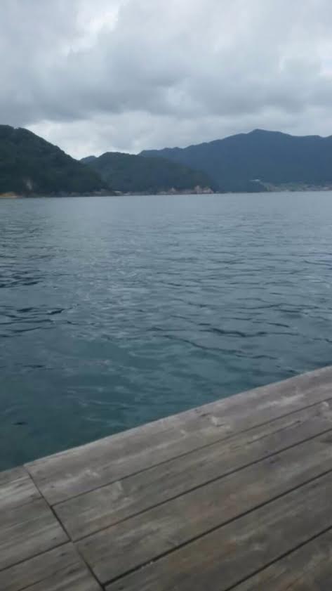 「若狭湾」筏で五目釣りin日本海