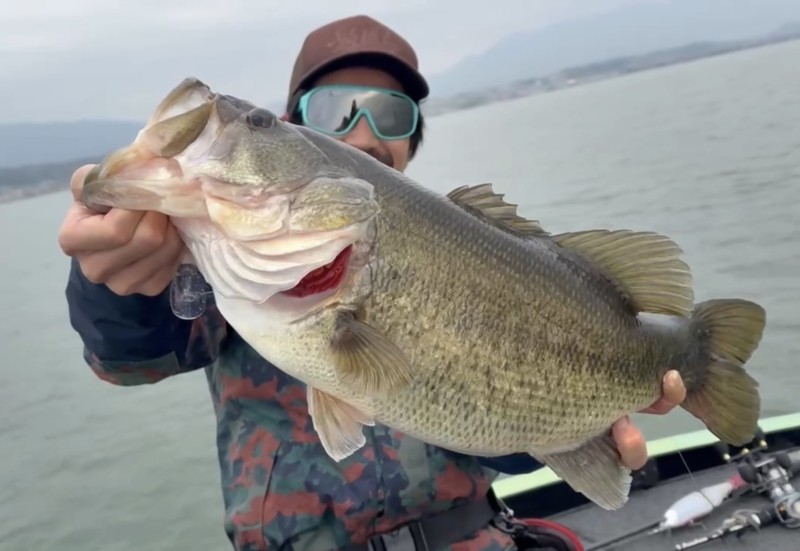 春の琵琶湖!ロクマル登場!!