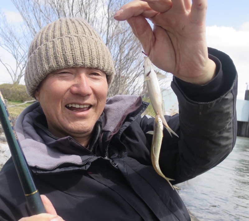 琵琶湖ホンモロコ4