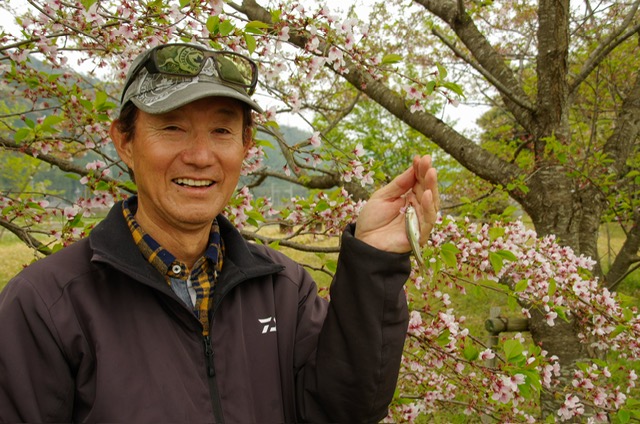 琵琶湖ホンモロコ7