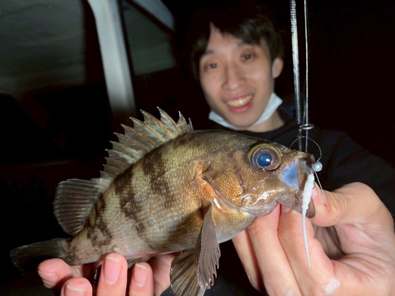 大阪湾ボートライトゲーム