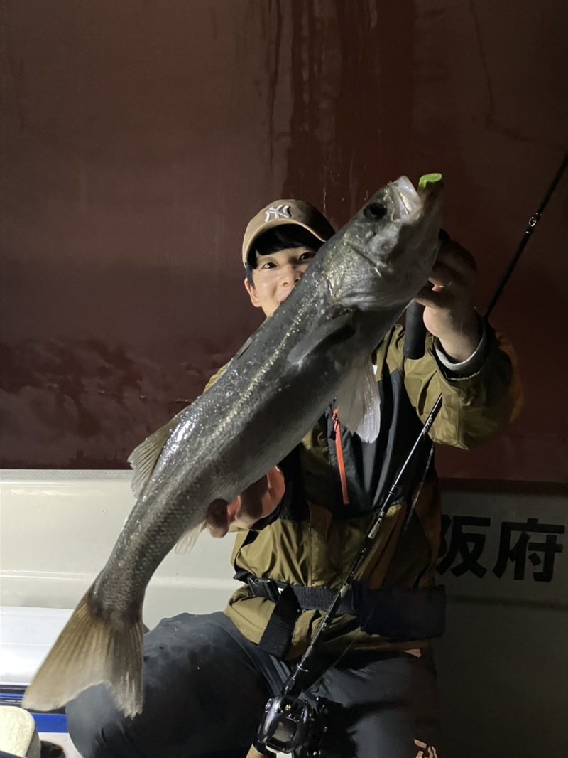 ボートメバル・シーバス