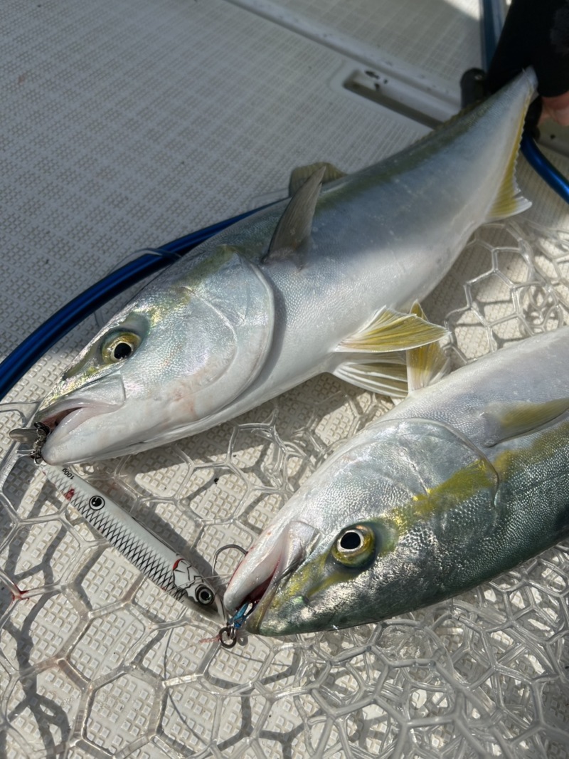 紀北ハマチ祭り