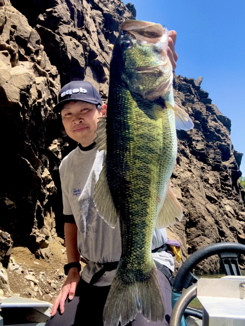 春の池原ダム釣行