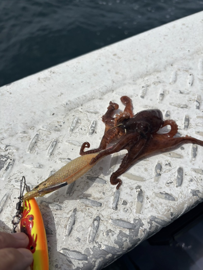 船タコシーズン2回目!