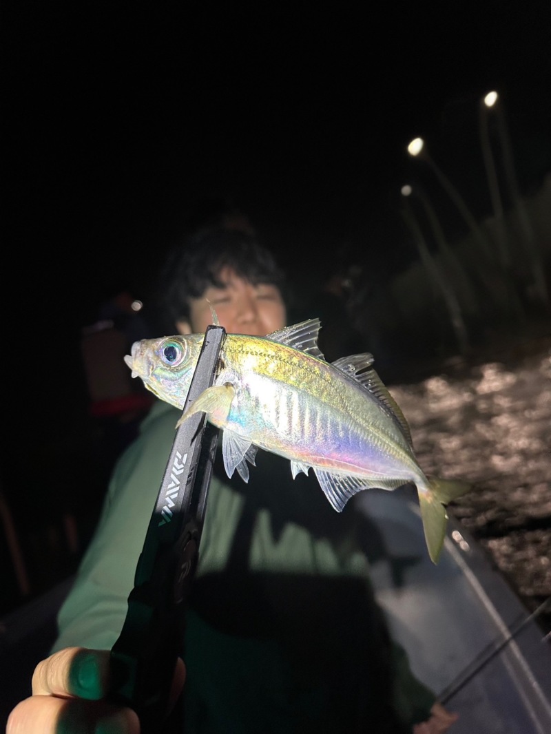 神戸ボートアジング調査!