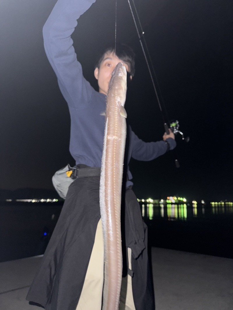 和歌山ショア調査