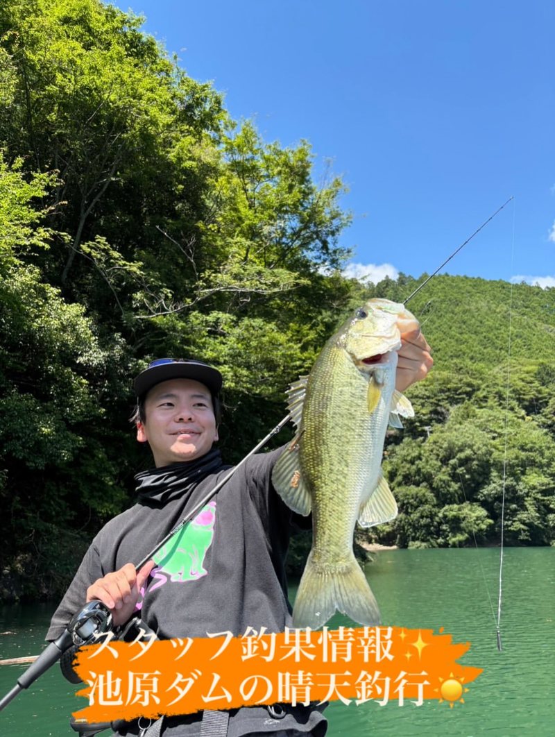 真夏の池原ダム釣行