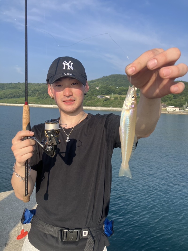 兵庫県淡路島でライトタックルのキス釣果