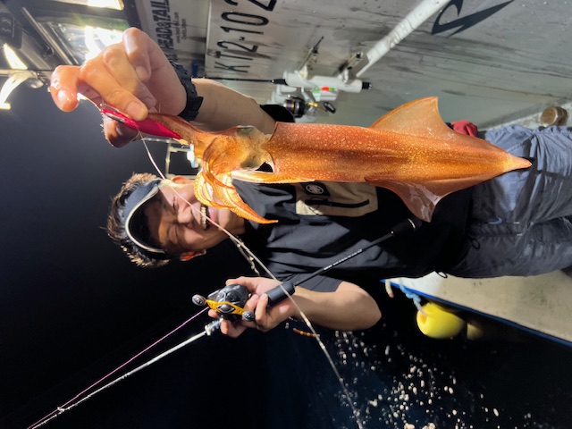 京丹後浅茂川沖「和丸」でイカメタルのケンサキイカ釣果