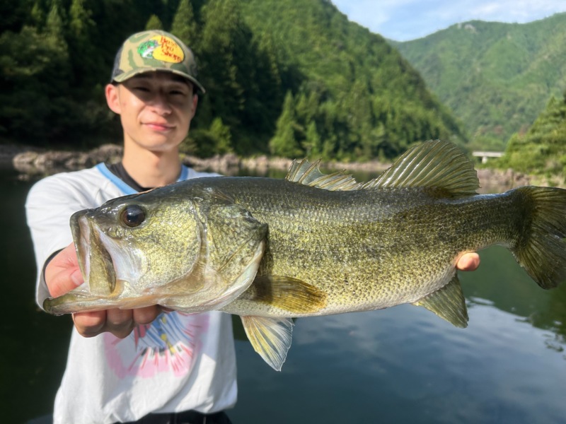 奈良県七色ダムのレンタルボートでブラックバス釣果