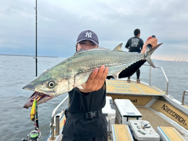 大阪湾ボートからのブレードジギングでサワラ釣果