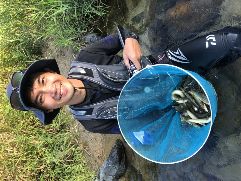 鳥取県千代川で鮎友釣り釣果