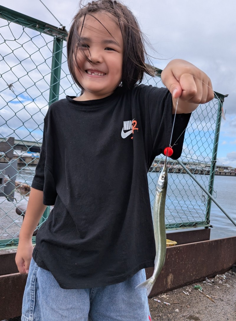 大阪府 汐見埠頭でサヨリ釣果