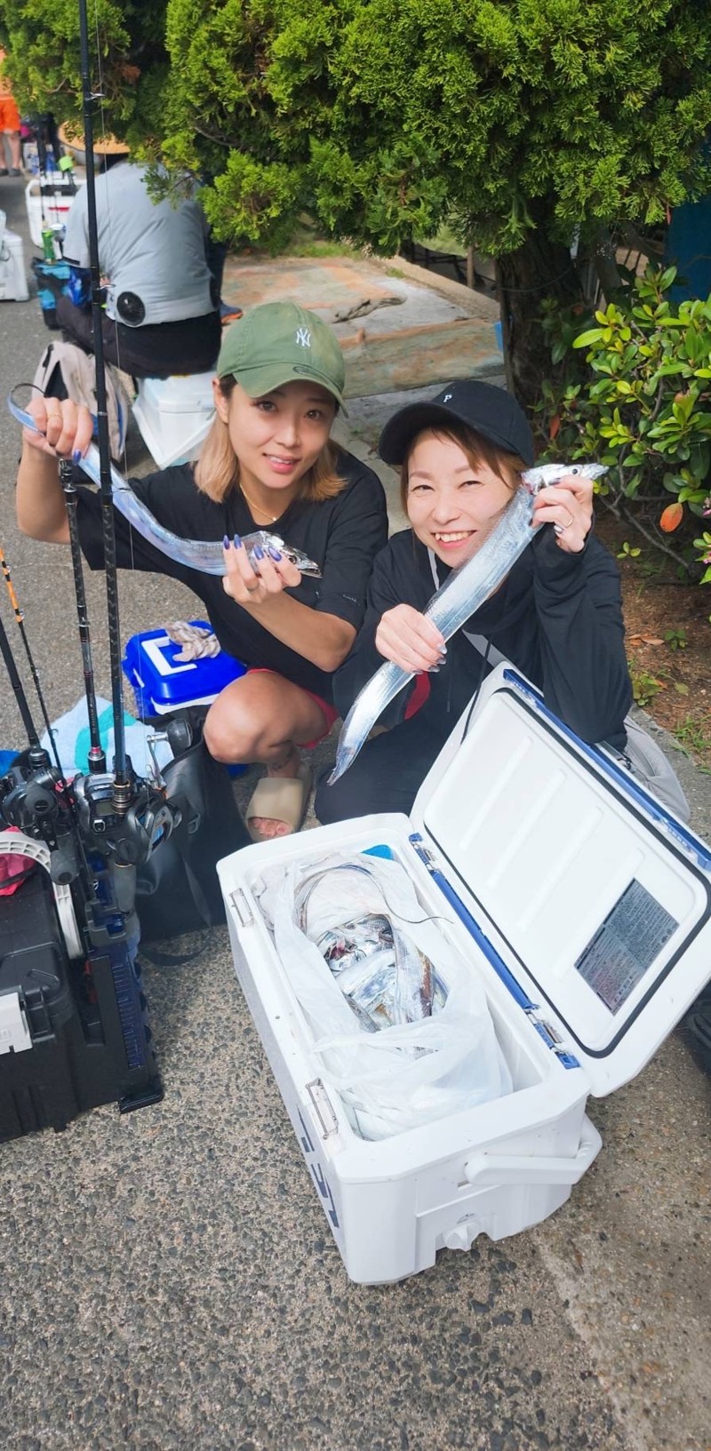 兵庫県明石沖の船からテンヤでタチウオ釣果