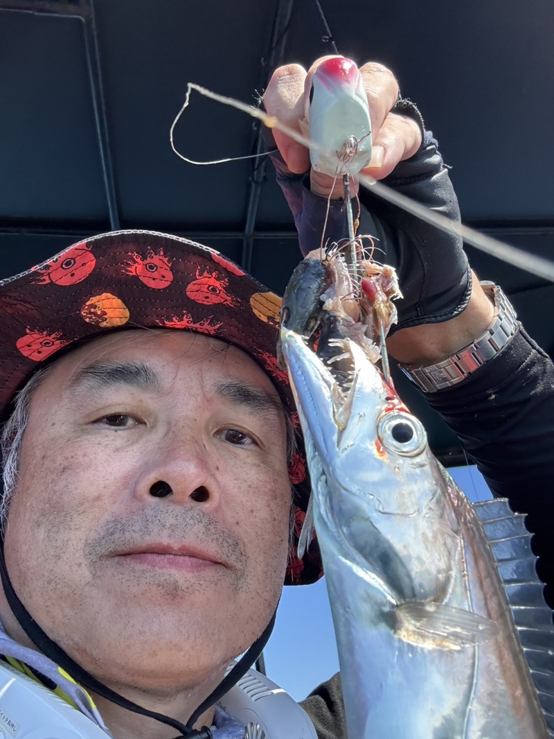 兵庫県明石沖のテンヤでタチウオ釣果