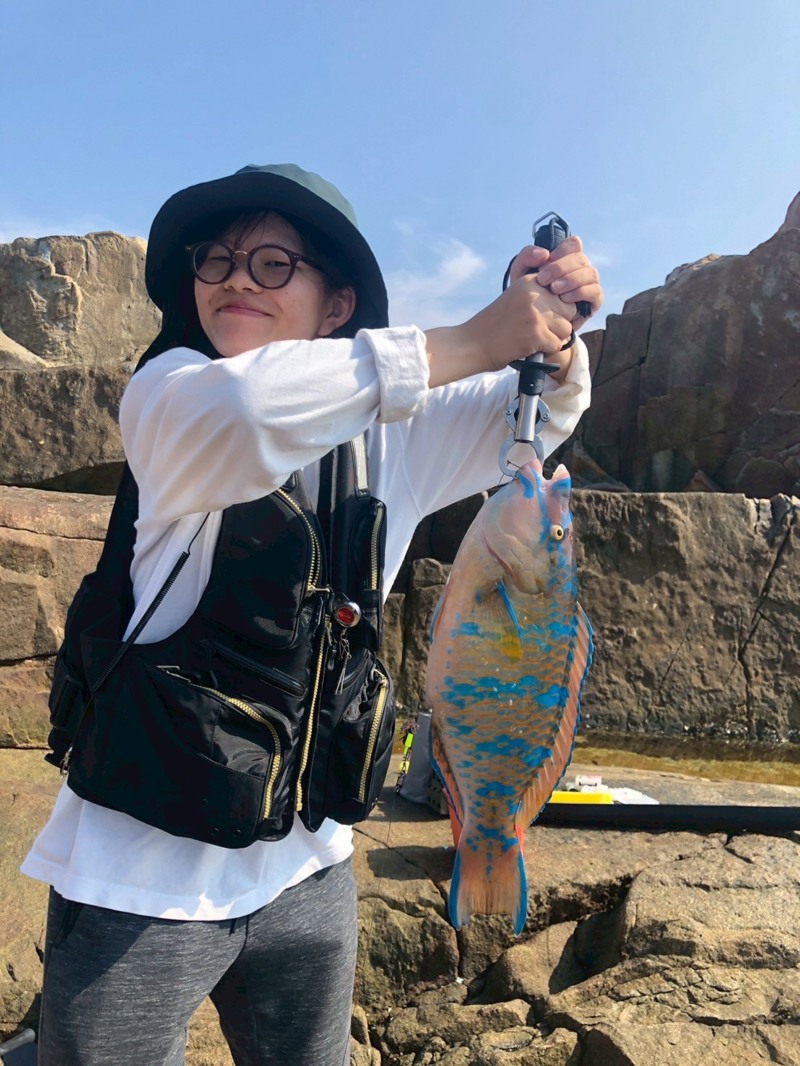 高知県の沖堤防と磯釣りで五目釣果