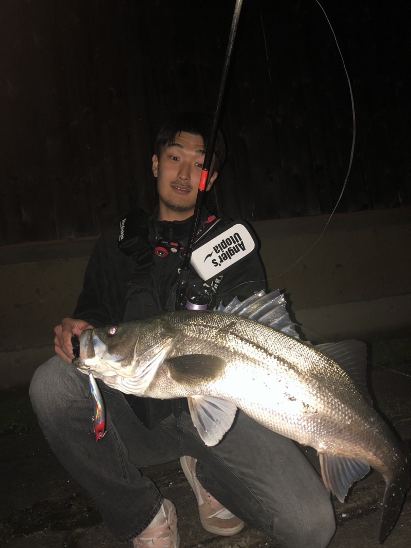 兵庫県円山川で岸からのシーバス釣行