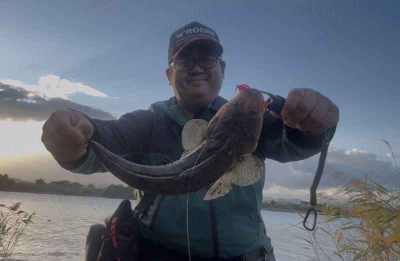 和歌山県紀ノ川河口のルアーでマゴチ釣果