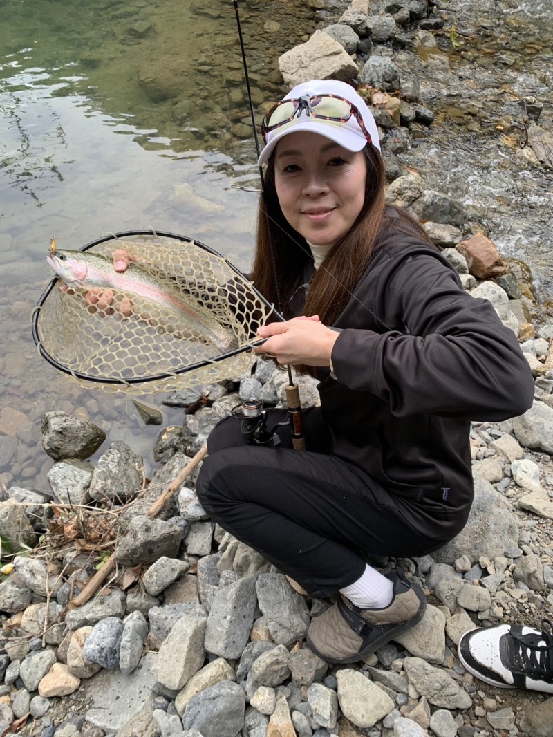 大阪府高槻市の芥川でルアーによるニジマス釣果