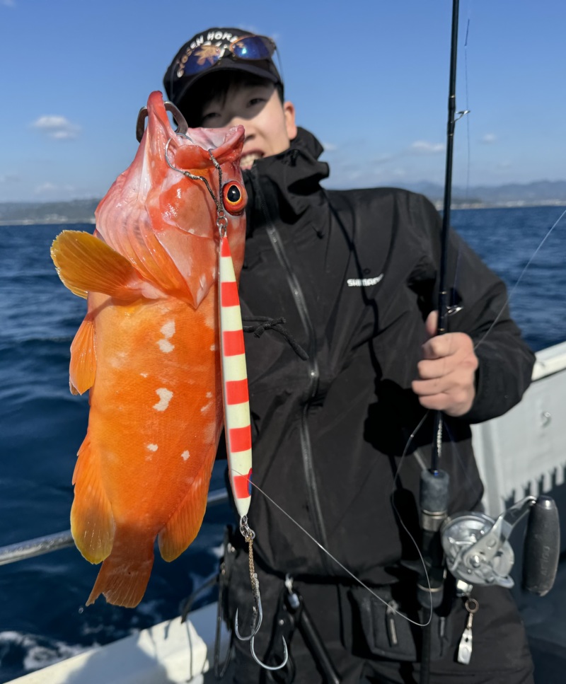 和歌山県田辺沖のジギングでオオモンハタ・アカハタ釣果