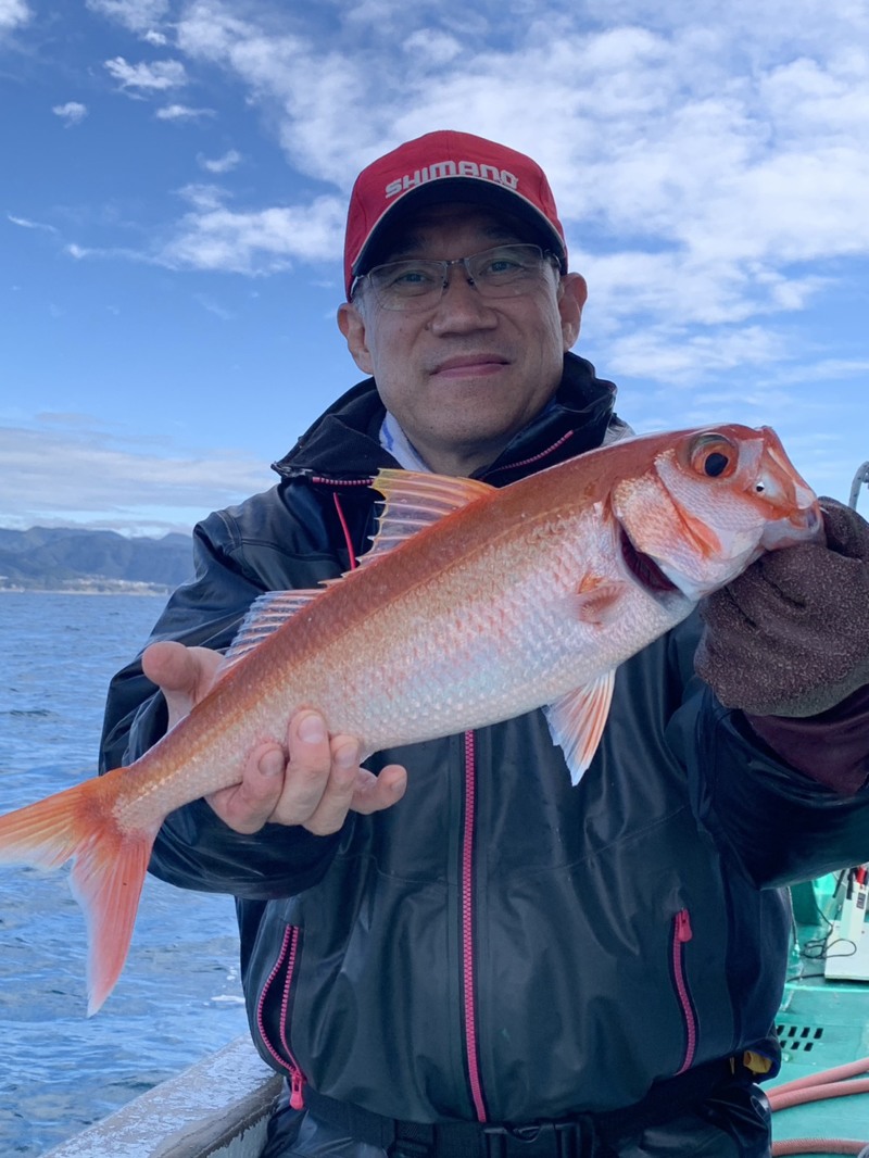 和歌山県見老津 の船から五目釣り釣果