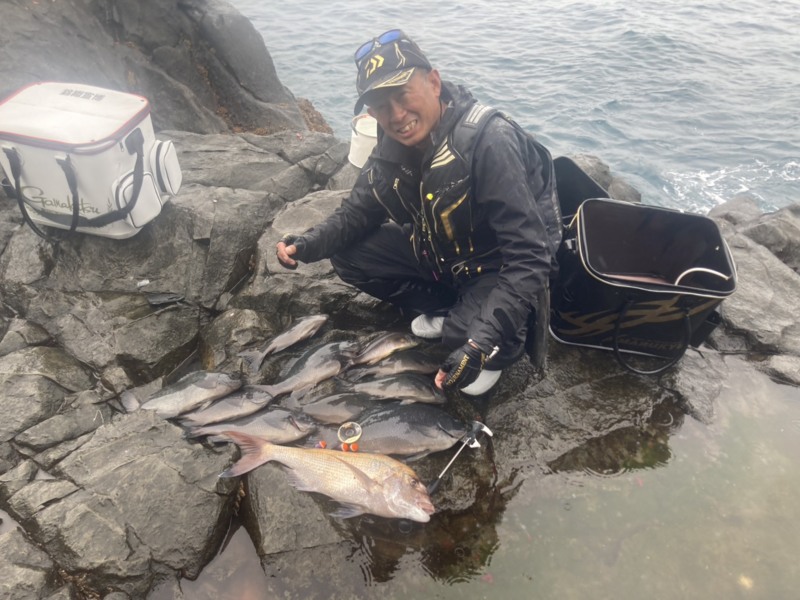 愛媛県 御五神の磯釣りでグレ・真鯛釣果