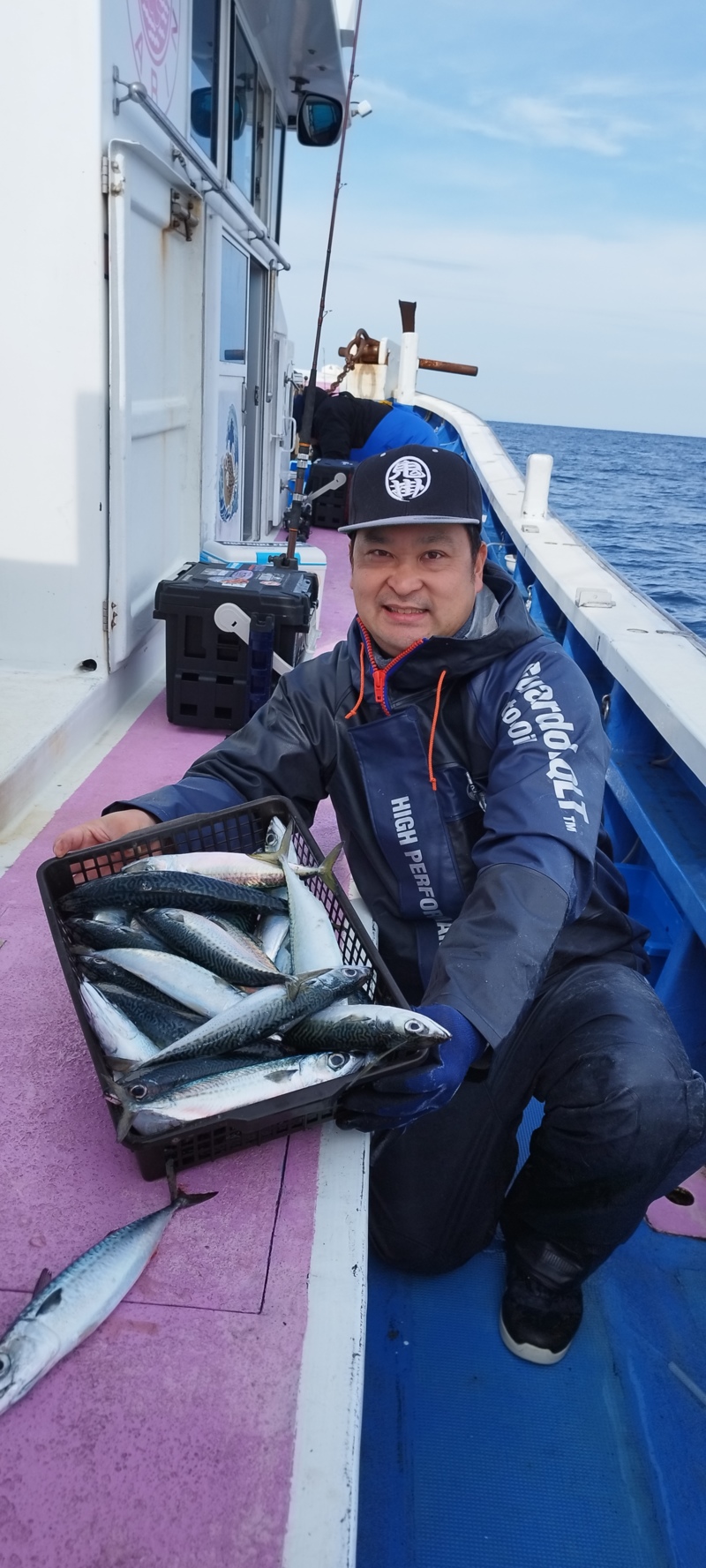 和歌山県比井岬丸寒鯖の釣果