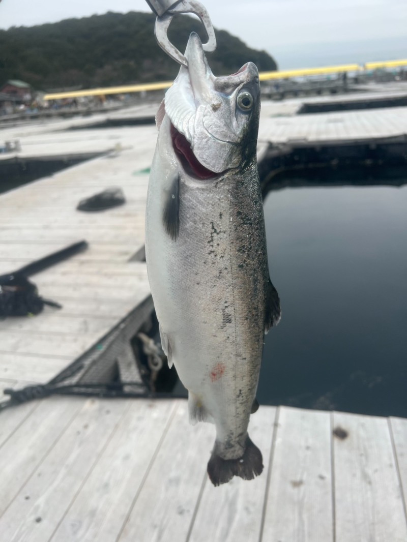 水宝さんにてサーモン釣り!!!