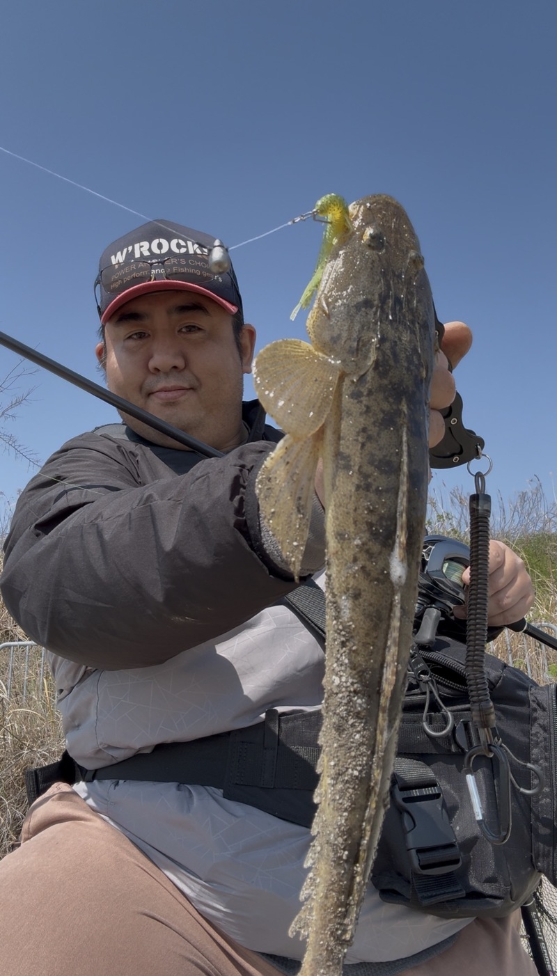 紀ノ川河口のチニング調査