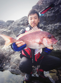 三重県南伊勢町贄浦で磯釣り|46cm真鯛・グレ4匹の釣果