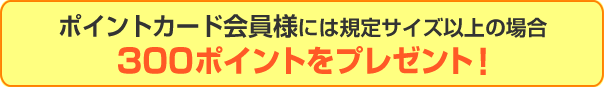 ポイントカード会員様には規定サイズ以上の場合300ポイントをプレゼント!